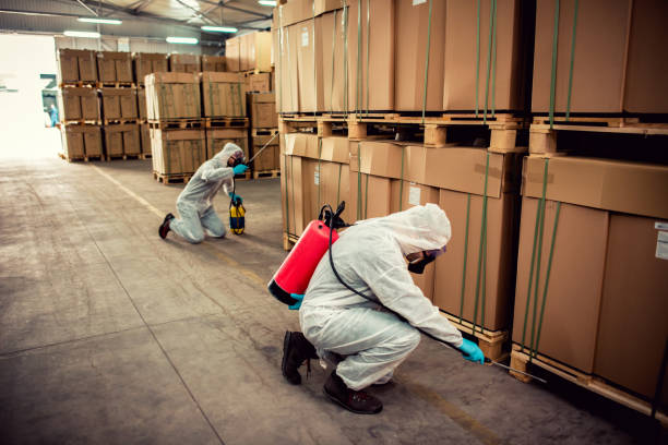 Best Best Pest Control Companies  in Wolf Point, MT