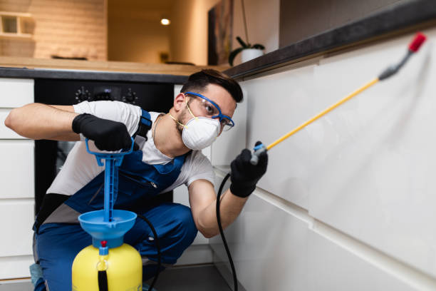 Best Mosquito Control Services  in Wolf Point, MT