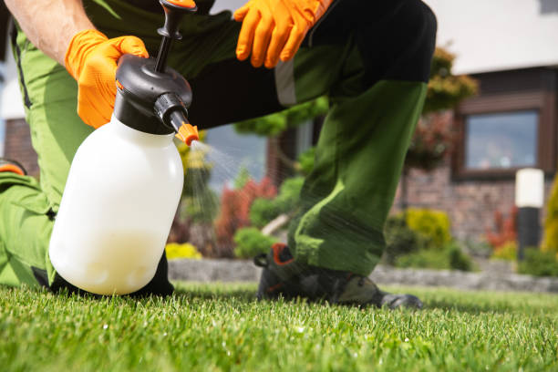 Best Pest Prevention Services  in Wolf Point, MT