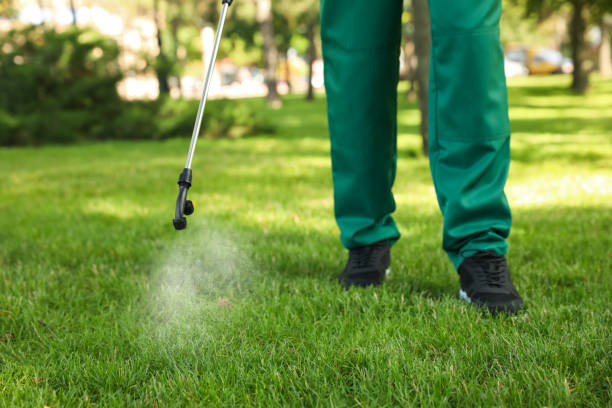 Flea Control Services in Wolf Point, MT