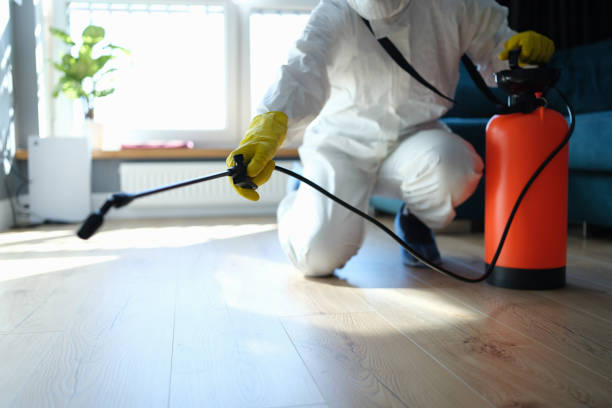 Best Flea Control Services  in Wolf Point, MT
