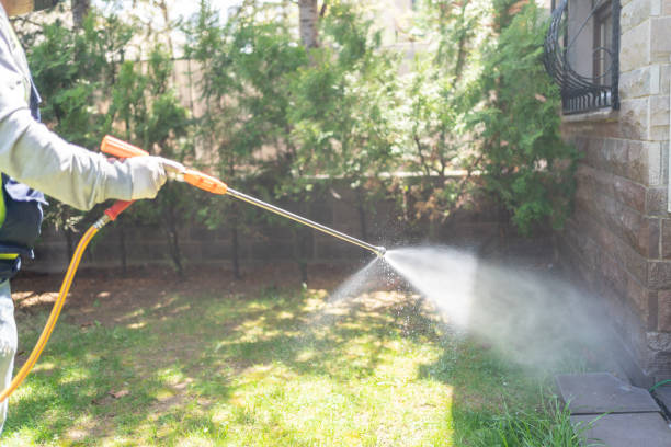 Best Termite Control Services  in Wolf Point, MT