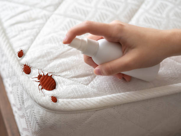 Best Local Pest Control Services  in Wolf Point, MT